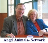AngelAnimals