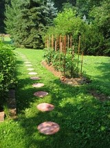 Backyardwithin