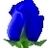 Beyond Blue