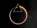 cynicalnnew