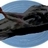 DeadBird
