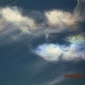 Dragonflys
