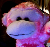 evilove