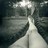 Feminie