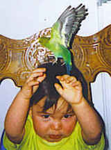 gabriel2help