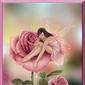 Hapy2gthr