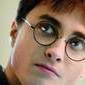 Muggles for Harry Potter