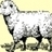 lil_lamb