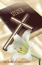 BIBLE STUDIES by Ordained