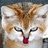 scallycat