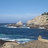 seaotter2