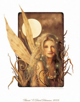 sfirefly
