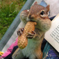 Spookersview