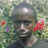 survivor88