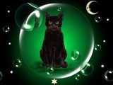 SweetCrone