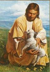 thelordsshepherd...