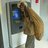 Vitaliy