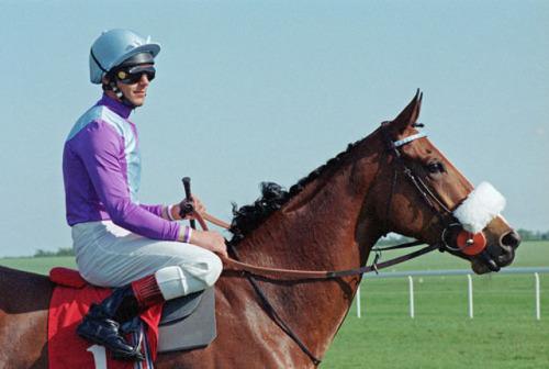 BALDING SHOULD BE KNIGHTED > Betfair Community > Horse Racing