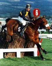 BALDING SHOULD BE KNIGHTED > Betfair Community > Horse Racing